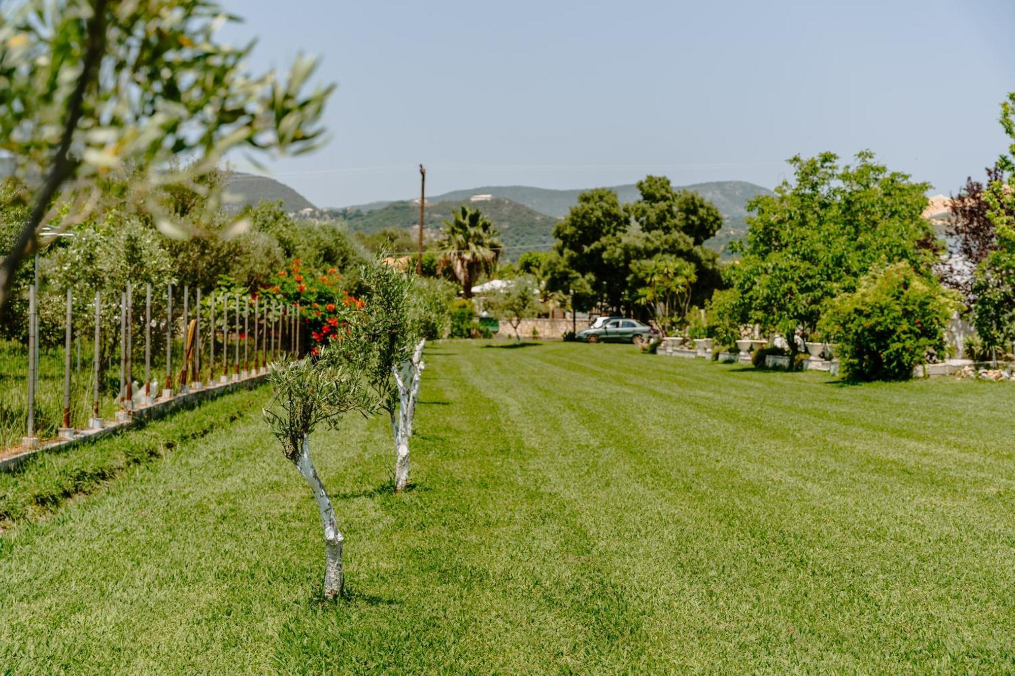 Villa Marina بيرديكا المظهر الخارجي الصورة