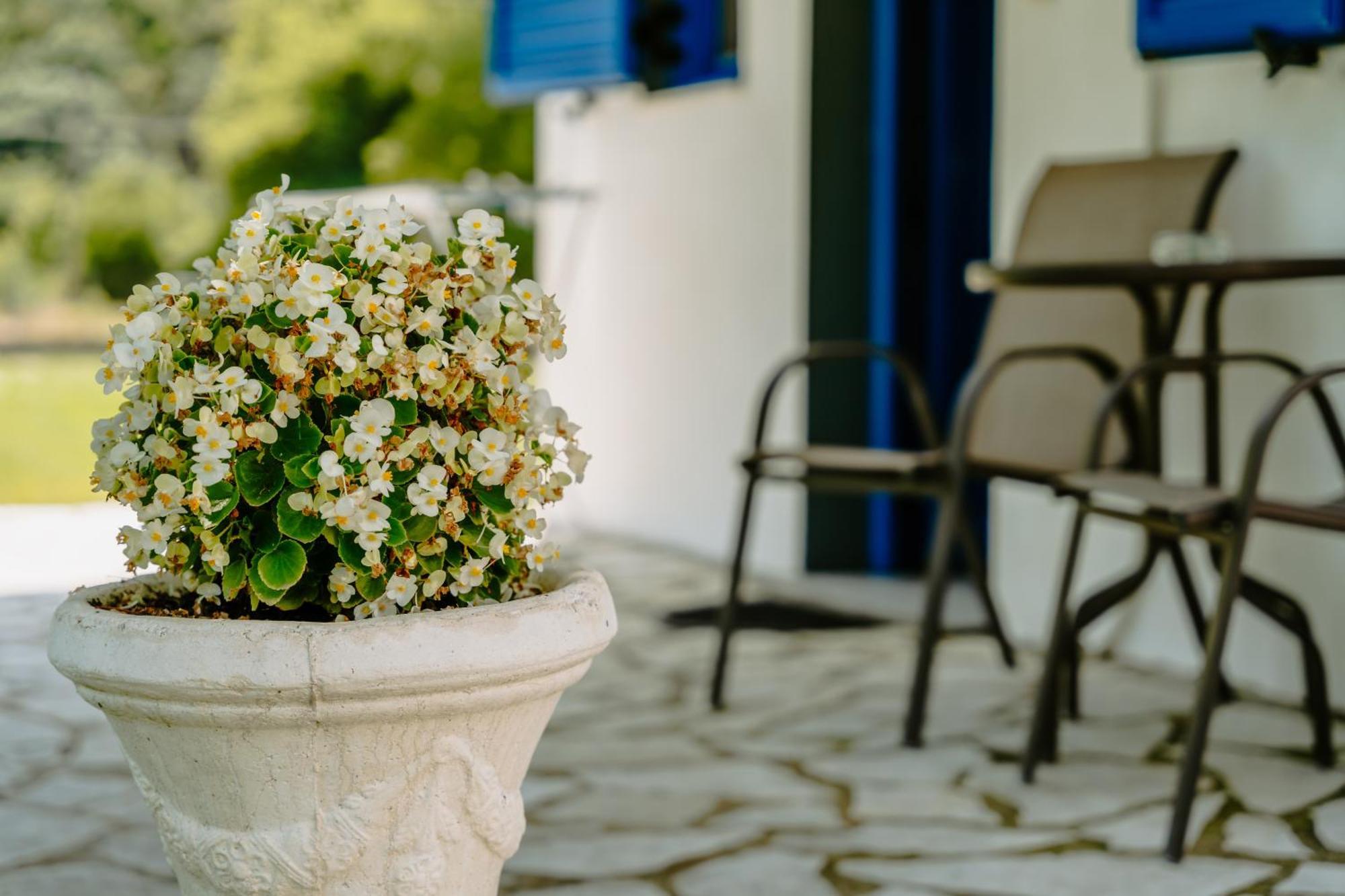 Villa Marina بيرديكا المظهر الخارجي الصورة